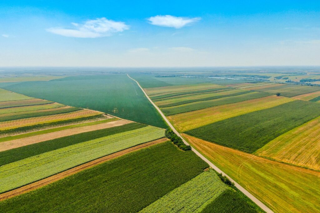 Klasy gruntów w Polsce a inwestycje – aspekty prawne i praktyczne